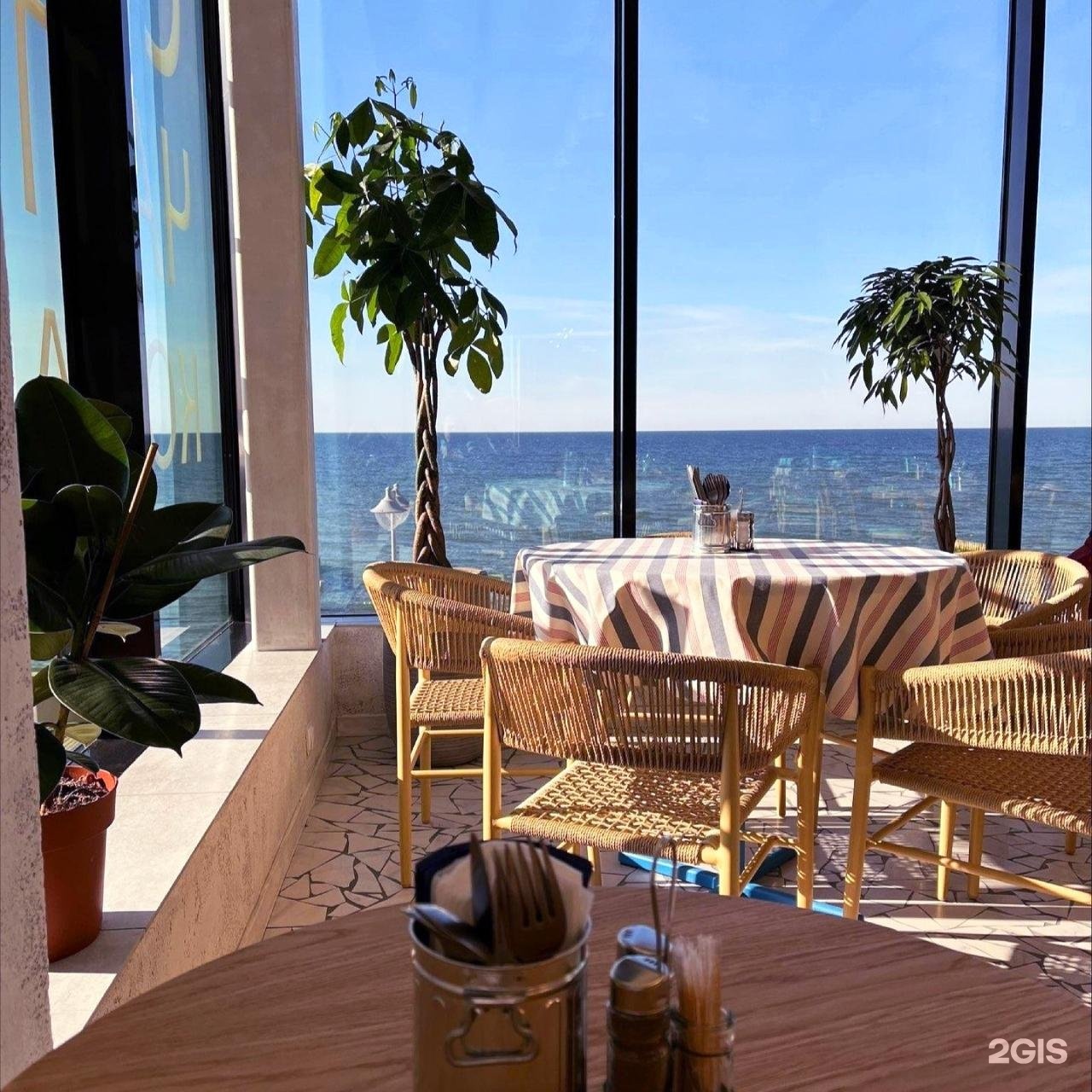 Promenade морской бул 1а 1 фото Гастрогид по Светлогорску: от улиток до борща с копчёной вишней - Приморск - 2ГИ